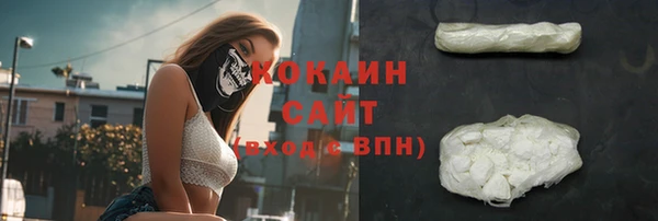 шишки Абинск