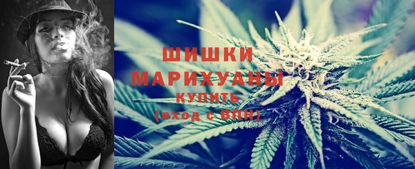 шишки Абинск