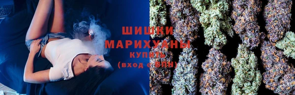 шишки Абинск