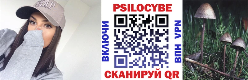 Галлюциногенные грибы GOLDEN TEACHER  купить наркотики сайты  Киржач 